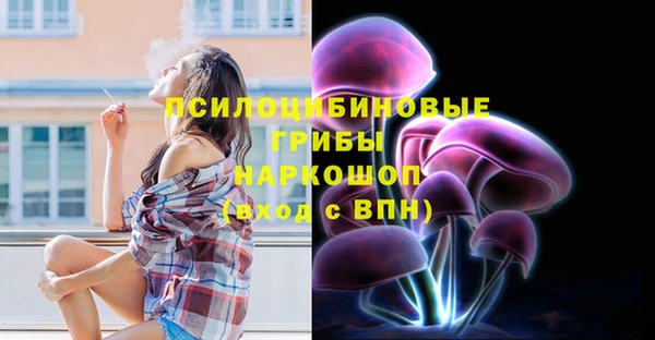 СК Майский